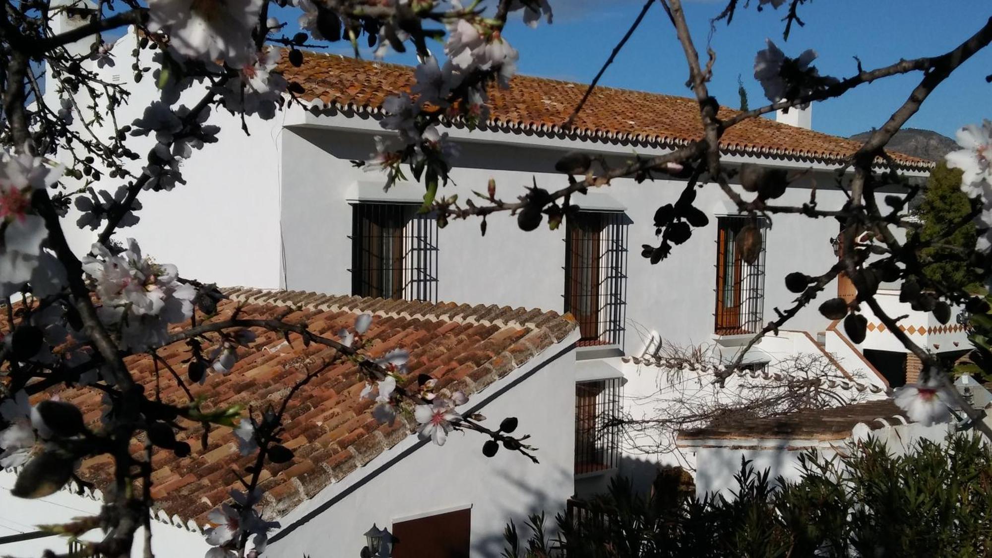 B&B Casa Domingo Alora Exterior foto